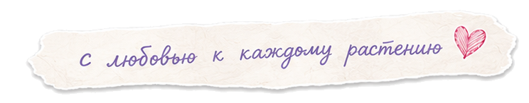 с любовью к каждому растению