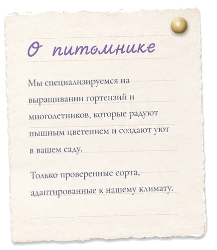 О питомнике