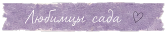 Любимцы сада